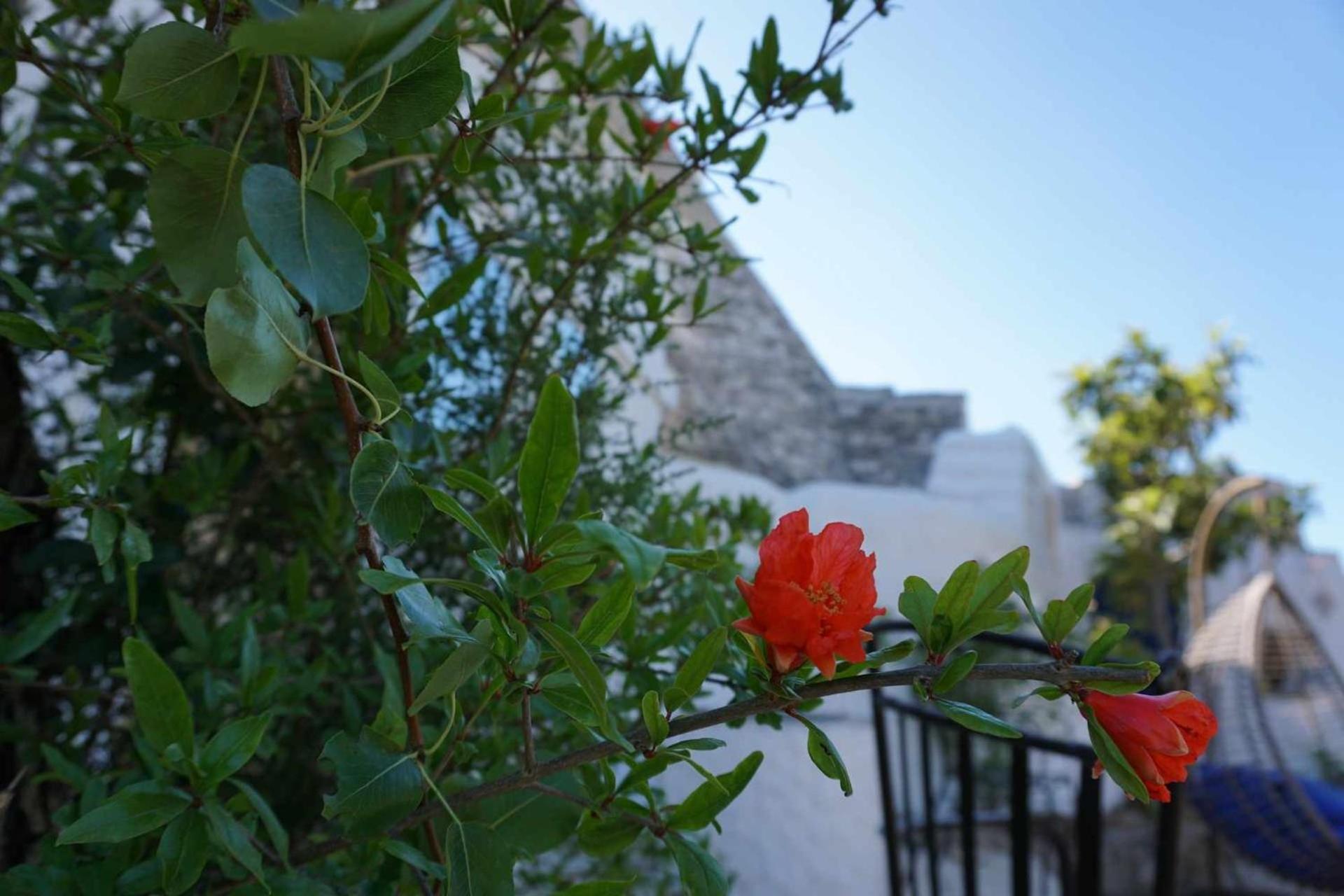 Trullo Biricchino Two Bedroom By Tripオストゥーニ エクステリア 写真